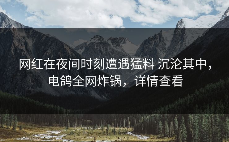 网红在夜间时刻遭遇猛料 沉沦其中，电鸽全网炸锅，详情查看