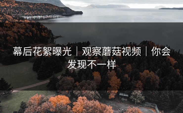 幕后花絮曝光｜观察蘑菇视频｜你会发现不一样
